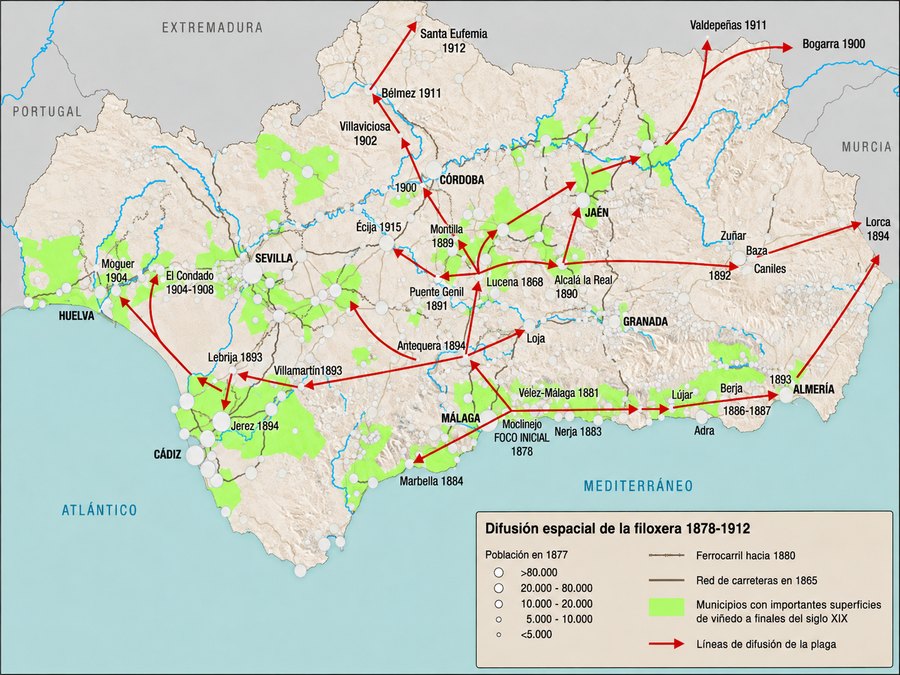 Mapa de la difusión espacial de la filoxera en Andalucía entre 1878 y 1912
